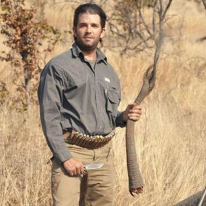 يحمل ابن ترامب ذيل فيل مفتخراً بصيده