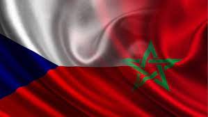 المغرب يدعو إلى تدبير “مندمج وموحد” لقضية الهجرة (بوابة تشيكية)